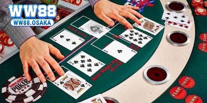 Khám Phá Cách Chơi Poker – Bí Quyết Để Thắng Lớn Cùng WW88